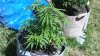 g13_haze3_jun_15_2016.JPG