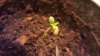 20160616_115750.jpg 20160616_115750.jpg