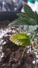 20160617_124506.jpg