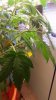 20160617_124514.jpg