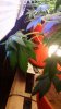 20160617_124525.jpg