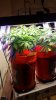 20160617_124604.jpg