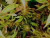 LST @ work!.jpg