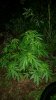 20160618_014830.jpg