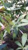 20160617_163248.jpg