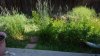 20160618_093347.jpg