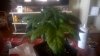 WP_20160616_001.jpg WP_20160616_001.jpg