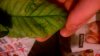 WP_20160617_003.jpg WP_20160617_003.jpg