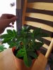 20160617_221507.jpg