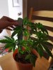 20160617_221418.jpg