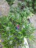 2016-06-19_12-05-54_960.jpg
