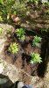20160615_160315.jpg 20160615_160315.jpg