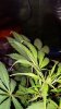 20160620_173743.jpg