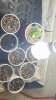 20160622_145025.jpg