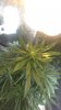 IMAG0384.jpg
