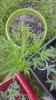 20160623_173645.jpg 20160623_173645.jpg