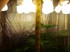 WP_20160626_001.jpg WP_20160626_001.jpg