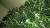rps20160627_191649.jpg rps20160627_191649.jpg