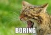 upload_2016-6-28_8-50-13.jpeg