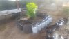 20160628_182849.jpg