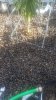 20160628_182746.jpg