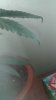 1467230601688-1870574968.jpg