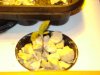 DSC04922.jpg