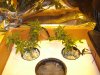 DSC04924.jpg