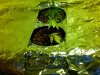 Snapshot_20090219_2.jpg