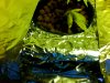 Snapshot_20090219_1.jpg