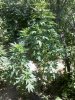 2016-06-29_14-22-14_359.jpg
