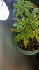20160630_115338.jpg