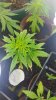 20160630_115359.jpg