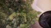20160630_080714.jpg
