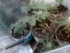 IMG_20160627_193611.jpg