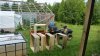 20160630_114249.jpg
