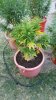 20160630_201131.jpg 20160630_201131.jpg