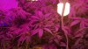 20160601_163015.jpg