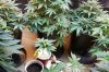 20160613_084544.jpg