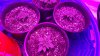20160511_225756.jpg