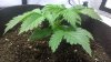 WP_20160701_18_11_16_Pro.jpg