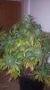 20160701_224939.jpg