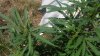 20160703_120413.jpg
