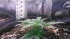 Day 27 from seed-2.jpg