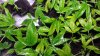 20160707_164838.jpg