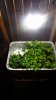 20160707_164906.jpg