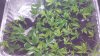 20160707_164855.jpg