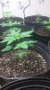20160708_154328.jpg 20160708_154328.jpg