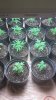 20160708_154318.jpg 20160708_154318.jpg