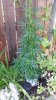 20160701_103956.jpg